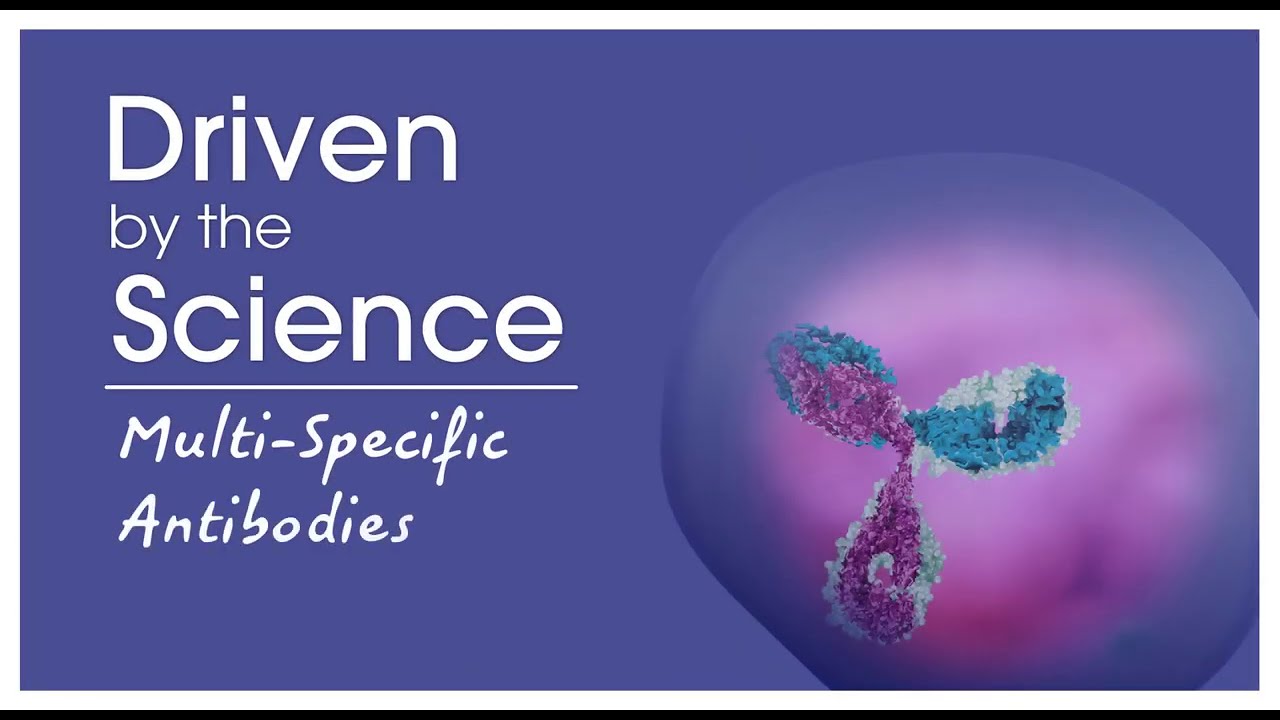 What are multispecific antibodies, and how do they work?