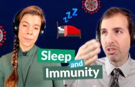 How sleep supercharges your immune system | Roger Seheult